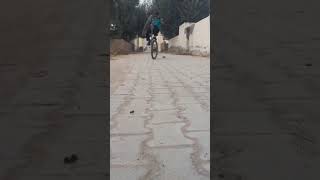 Cycle wheely stuntshortsfeed stuntshortvideo [upl. by Ileane]