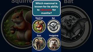 Which Mammal Hibernates for Months 💤🐻  Fascinating Animal Facts [upl. by Annamaria]