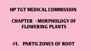 Hp tgt medical commission preparation  important topics of BOTANY  ZONES OF ROOT  neet biology [upl. by Pimbley]