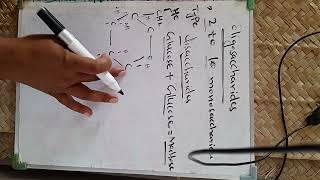 oligosaccharides  carbohydrates classificationtypes of oligosaccharidescharacters [upl. by Dorolice]