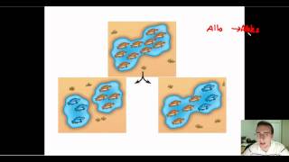 Speciation Part 1 Allopatric vs Sympatric [upl. by Ytsur]