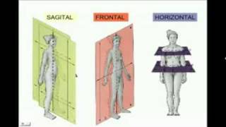 Anatomia Espacial quotposición anatómica planos y ejesquot [upl. by Tiphanie]