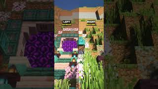 Minecraft Shaders Which Side is Better [upl. by Ecirrehs]