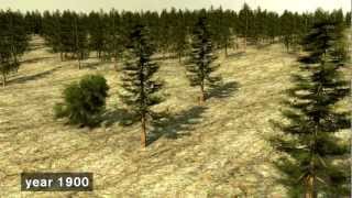 Sustainable Forestry  the Swedish modelmov [upl. by Christiane217]