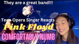 Teen Opera Singer Reacts To Pink Floyd  Comfortably Numb [upl. by Ideih585]