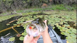 Frog Fishing For Bass  Epic Topwater Blowups [upl. by Averill]