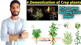 Domestication of Crop plants  BSc 3 year Botany first paper [upl. by Misaq]