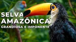 A GRANDIOSA AMAZÔNIA  Uma Jornada Extraordinária  Documentário Completo [upl. by Eelsew279]