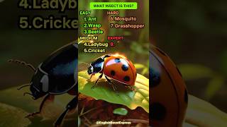 How Many Insects Can You Name Test Yourself englishlearning english [upl. by Dearden]