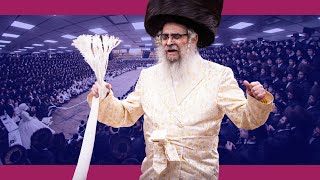 שמחת החתונה בחצר הקודש סאטמארSatmar Wedding in Monroe [upl. by Ynaffik546]