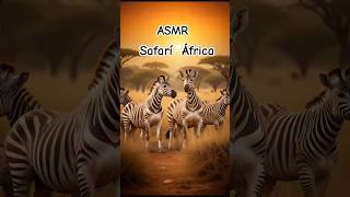 short asmr Safari África susurros relajantes [upl. by Butta]