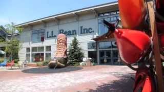 Discover your career  LLBean [upl. by Einnoc]