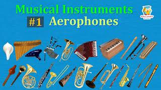 Aerophones 26 Musical Instruments with Pictures amp Sounds  Ethnographic Classification viral [upl. by Anaugal]