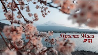 Просто Маса 11  Борис Акунин [upl. by Dorlisa]