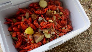 Louisiana Crawfish Boil Vlog [upl. by Hentrich]