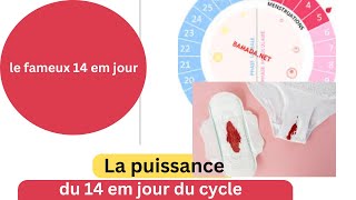 Parlons du fameux 14 em jour du cycle la puissance du 14 em jour du cycle [upl. by Elephus]