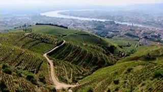 Discover The Wines of the Rhone Valley Part 1 of 3 [upl. by Pierson]