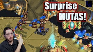 Serrals MUTA RUSH vs herO  StarCraft 2 SC2 Highlight Pro Bo5 Match [upl. by Hussey]