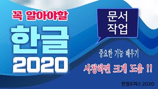 한글 프로그램 으로 문서작업 할때 꼭  꼭  알아야 하는 기능 및 실무 활용 팁을 아주 쉽게 알려 드립니다 [upl. by Atiana828]