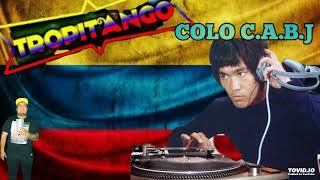 ❤TROPITANGO❤ÉXITOS COLOMBIANOS 🇦🇷🇲🇽🇨🇴🎶2️⃣0️⃣2️⃣4️⃣mix enganchado [upl. by Eirojram]