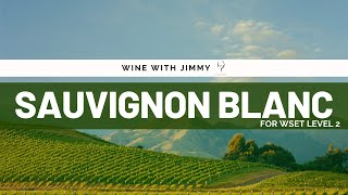 Beginners guide to Sauvignon Blanc for WSET Level 2 [upl. by Einnahpets128]