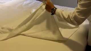 How to Fold a Towel Dragonfly [upl. by Meter613]