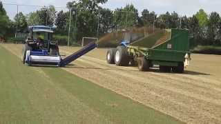 Koro Universe Fraze Mowing on Desso Grassmaster Surface [upl. by Bashee]