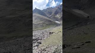 Kashmir main kanyakuwari🥰short videofulmani8827viralvideo [upl. by Retsila]