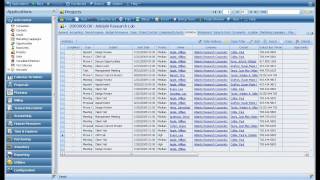 Deltek Vision CRM 4 Minute Video Demonstration [upl. by Oemac]