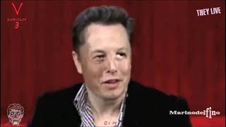 REPTILIAN ELON MUSK SHAPESHIFTING [upl. by Abernathy]