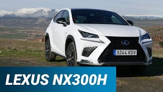 Lexus NX300H  Zona de prueba de coches El Confidencial [upl. by Hak]