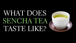 What Does Japanese Green Tea Taste Like Describing the Sencha Taste [upl. by Eittocs]