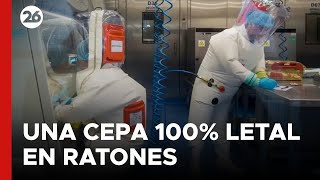 CHINA  La alarmante cepa mutante de coronavirus creada por científicos chinos [upl. by Ayrad]