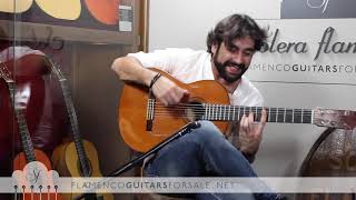 DANIEL CASARES plays bulerias in Solera Flamenca quotCapote de Sedaquot [upl. by Saphra]