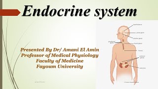 Endocrine control of calcium metabolism part I [upl. by Lennon845]