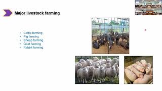 Fecal Microbiota Transplantation for Livestock Animals Wellbeing [upl. by Mansoor]