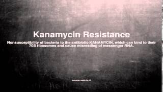 Medical vocabulary What does Kanamycin Resistance mean [upl. by Elita]