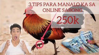 3 TIPS KUNG PAANO MANALO SA ONLINE SABONG onlinesabong [upl. by Acirred390]