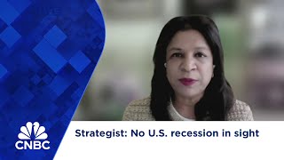 Strategist No US recession in sight [upl. by Akirat]