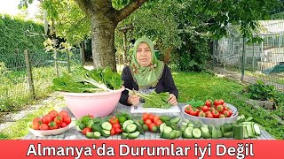 Serada Her Şeyi Kestim Attım 🔴 Almanyada Durumlar iyi Değil [upl. by O'Conner300]