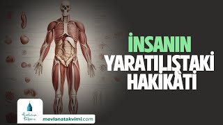 İNSANIN YARATILIŞTAKİ HAKİKÂTİ [upl. by Bisset]