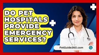 Do Pet Hospitals Provide Emergency Services  PetGuide360com [upl. by Rutherford]