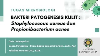 Kelompok 4  Bakteri Patogenesis Kulit  Staphylococcus aureus dan Propionibacterium acne🦠👩🏻‍🔬 [upl. by Jenda]