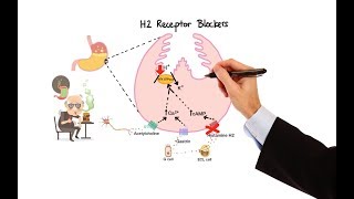 Pharmacology  ANTIHISTAMINES MADE EASY [upl. by Clarhe]