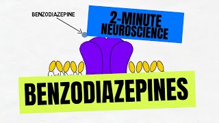 2Minute Neuroscience Benzodiazepines [upl. by Akinajnat556]