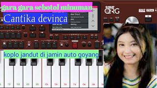 GARA GARA SEBOTOL MINUMAN DANGDUT KOPLO JANDUT COVER ORG 24 [upl. by Zavras]