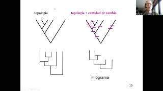 Tema 2a Análisis filogenético por máxima parsimonia [upl. by Litton]