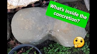 Crackin The Concretion Open  Whats inside [upl. by Kilroy]