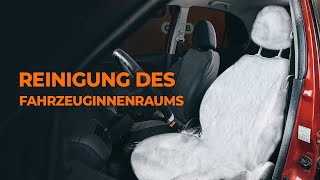 5 Fehler bei der Reinigung des Fahrzeuginnenraums  Tipps von AUTODOC [upl. by Sternlight997]