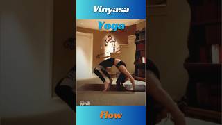 Explore with this Vinyasa Yoga Flow Sequence [upl. by Nohtanoj213]